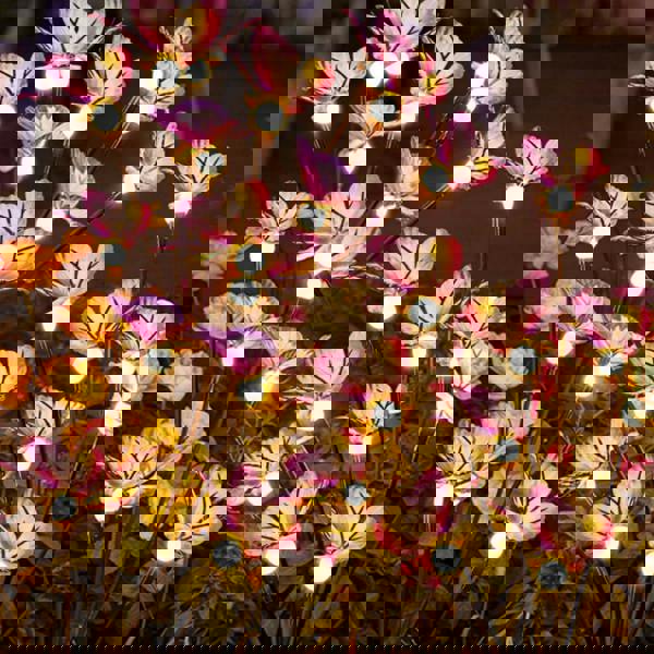 Leaper Solar Butterfly & Firefly Garden Ground Lights