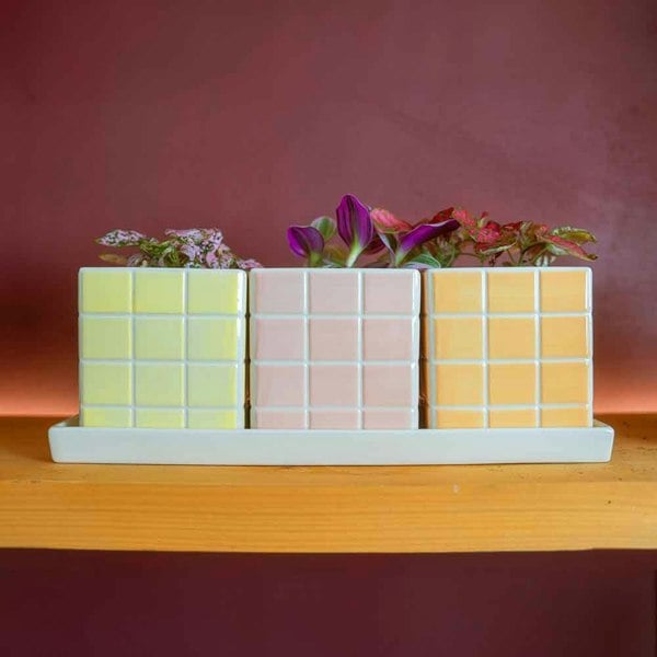 Upper Street Set of Three Warm Pastel Tile Design Ceramic Planters with Tray