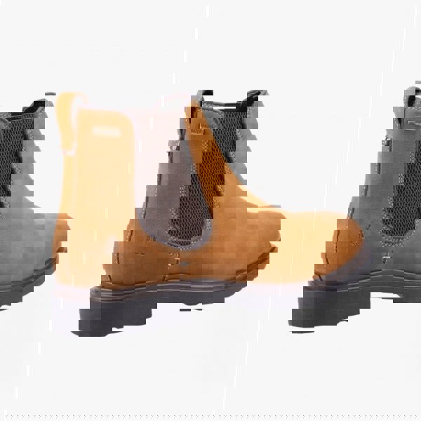 1677847471-19291800.jpg