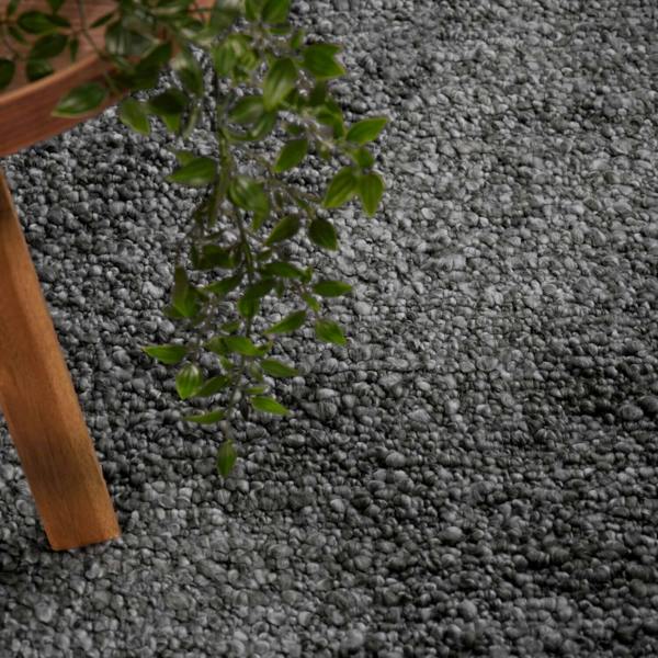 Gray carpet with a wooden chair leg and green plant