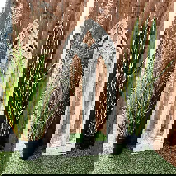 Unique Medium Gothic Wall Mirror