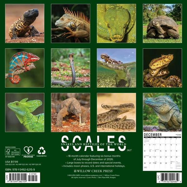 Scales, Snakes & Reptiles Calendar 2027, Wall Calendars, Month To View, Animals, Gift
