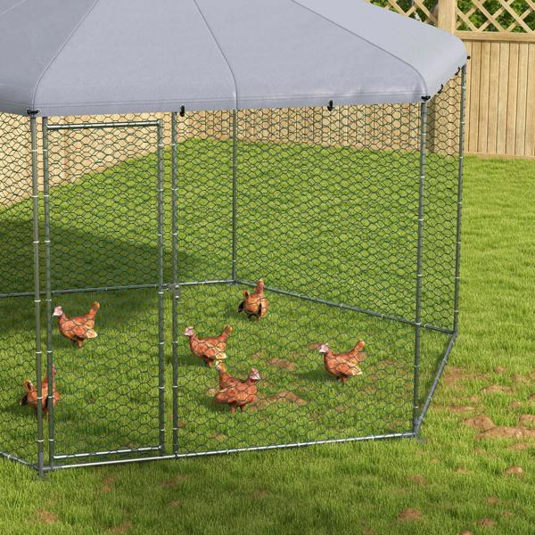 Outdoor chicken run enclosure with hex wire mesh panels and grey fabric roof