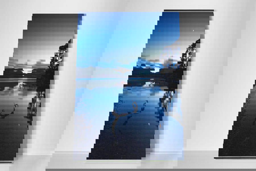 photo wall canvas print