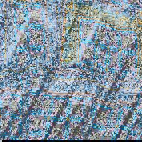 Blue | Printed Frill Sleeve Maxi Dress