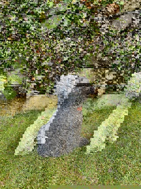 Small Westie Terrier chewing bone Stone Ornament