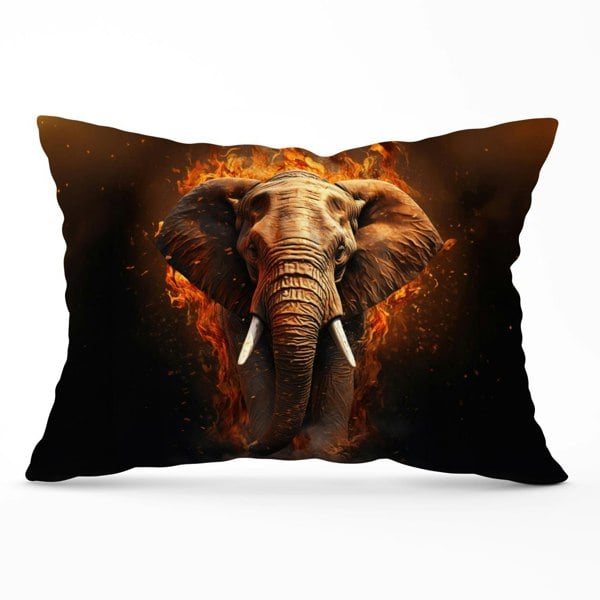 Warren Reed Splashart Elephant and fire Cushions