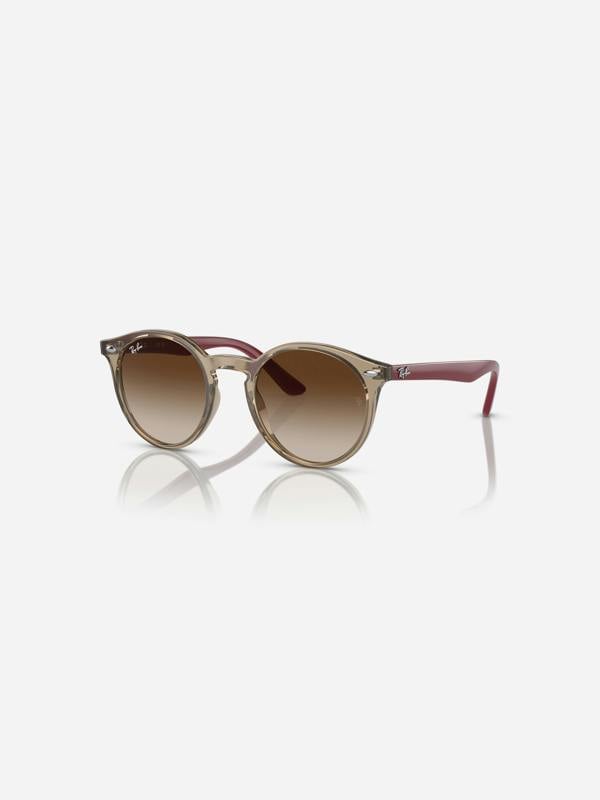 RAYS6002_BROWN_1