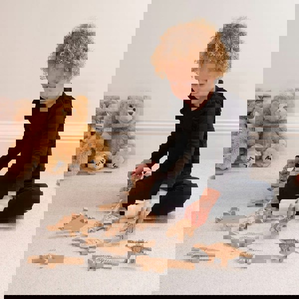 tickit Wooden Dinosaur Blocks