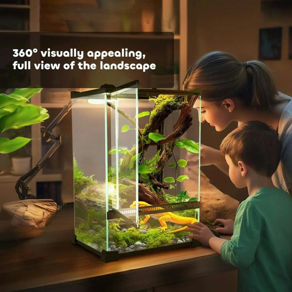 Black-framed reptile vivarium with clear glass and mesh top, front view on a wooden stand