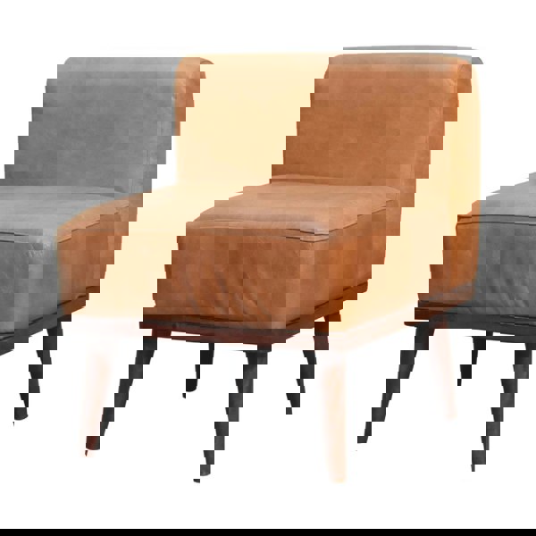Artisan Furniture Tan Buffalo Backrest Footstool