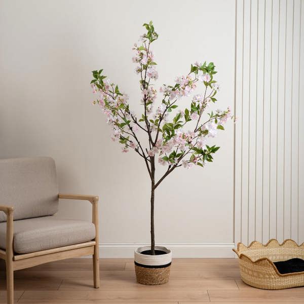 Scottish Everlastings 180cm Pink Cherry Blossom Tree