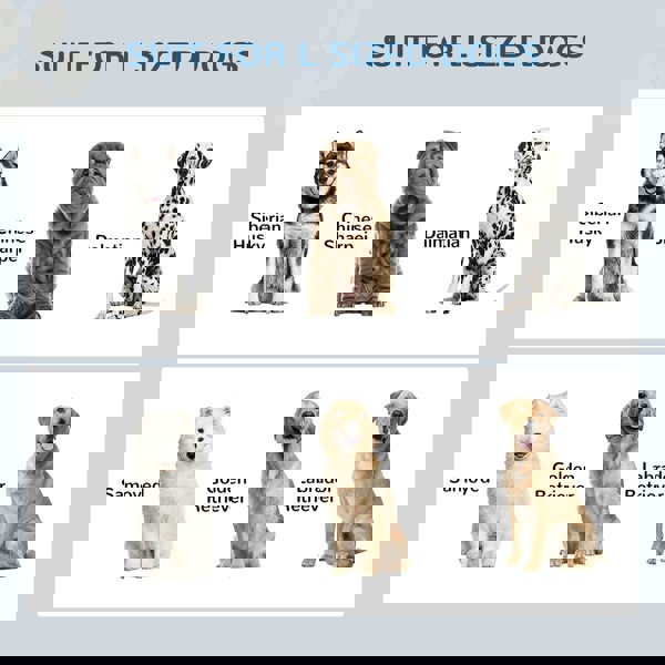 D08-041V01BK