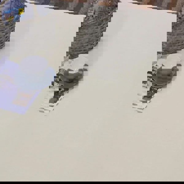 Solid Design Living Room Rug in Ivory – The Rugs