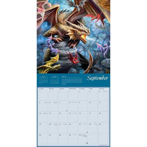 Anne Stokes, Dragons Calendar 2027, Wall Calendars, Month To View, Art, Gift