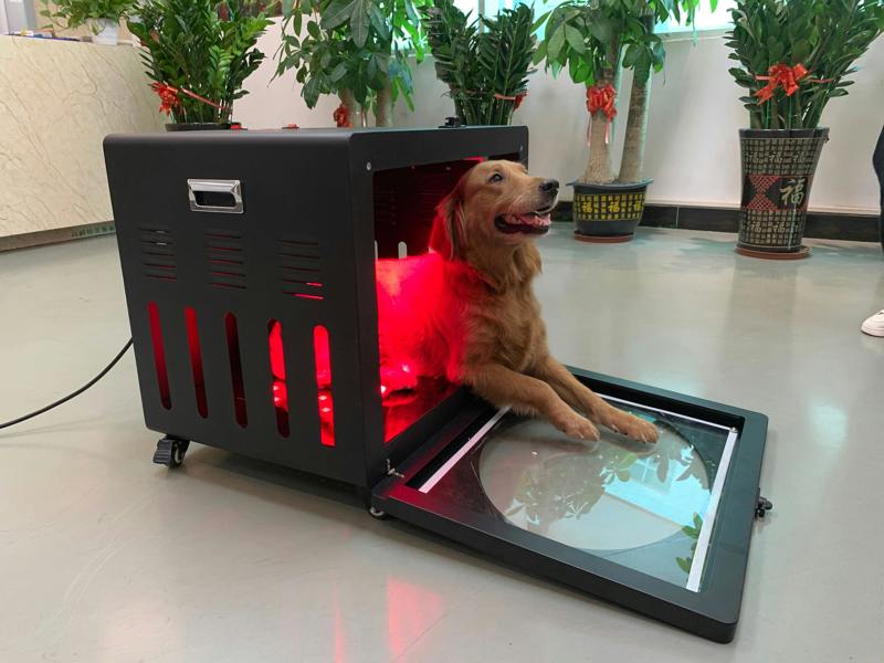 Lumawell PT-LC100 Red Light Therapy Pet Bed