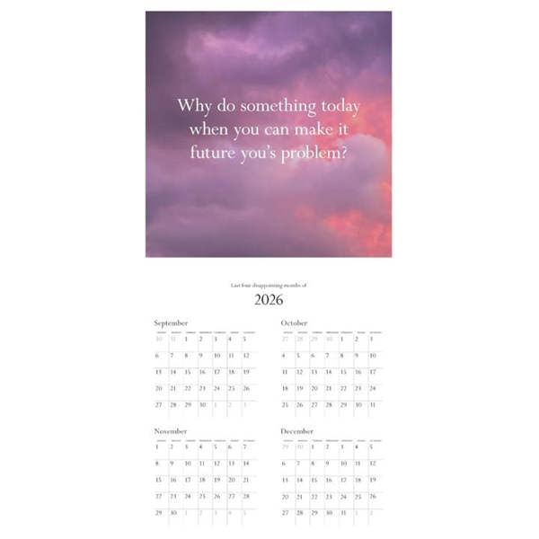Chronicle Books Disappointing Affirmations Calendar 2027, Wall Calendars, Month To View, Humour, Gift