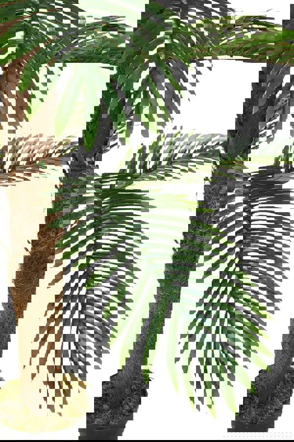 Living and Home 160cm Artificial Palm Tree Potted for Garden, Office & Home Decor