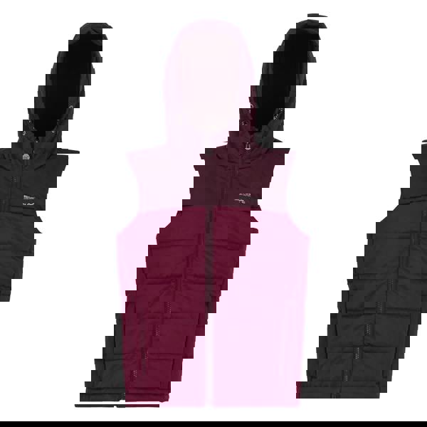 Regatta Childrens/Kids Lofthouse Body Warmer - Fig/Dark Pimento - 