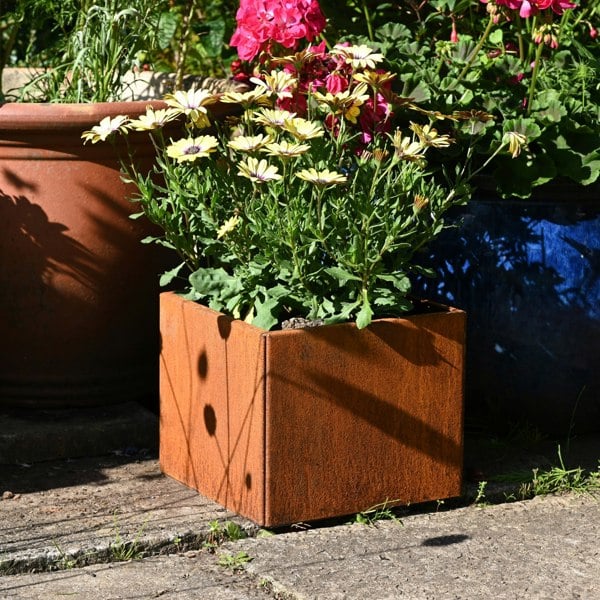 metal plant pot