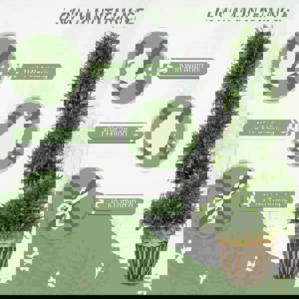 Artificial Topiaries