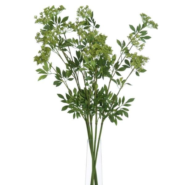 Wyld Haus Set of 3 Artificial Flowers Faux Cow Parsley Ammi Stem