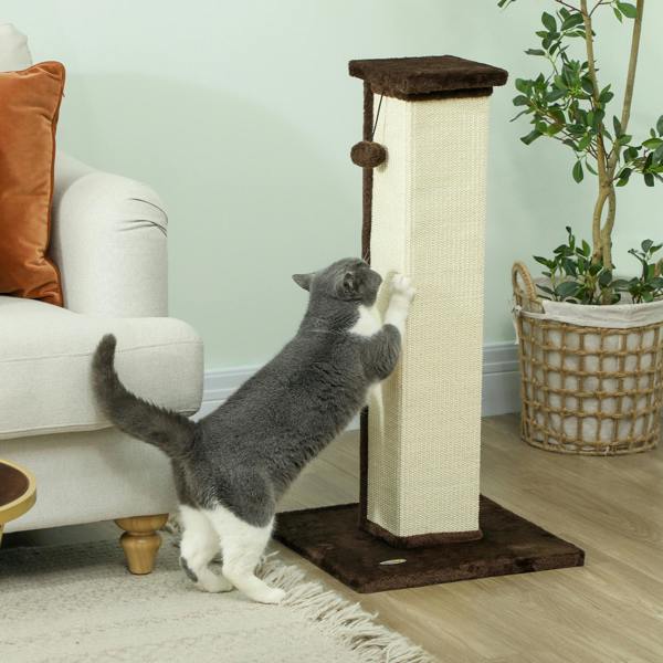 Cat Scratching Post