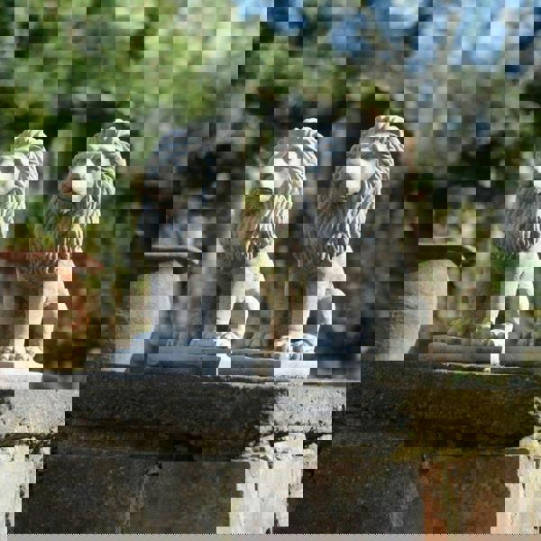 Pair of Small Bavarian Lion Garden sculptures