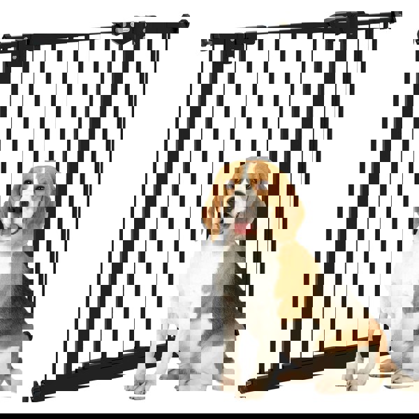 D06-096V02BK