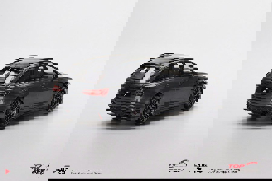 TSM Audi ABT RS6-R Daytona Grey 1:18 Scale TSM TS0455