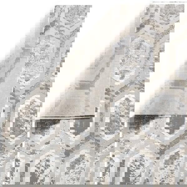 Asiatic Aurora AU12 Crystal Rug