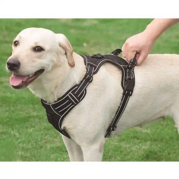 DRYBONES Dog Harness