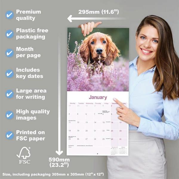 Irish Setter Calendar 2027, Wall Calendars, Month To View, Dogs, Gift