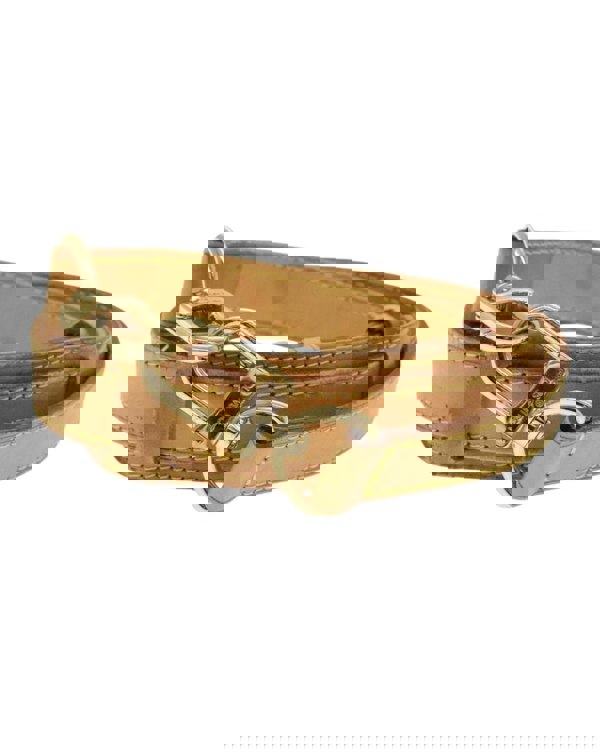 193968469.jpg