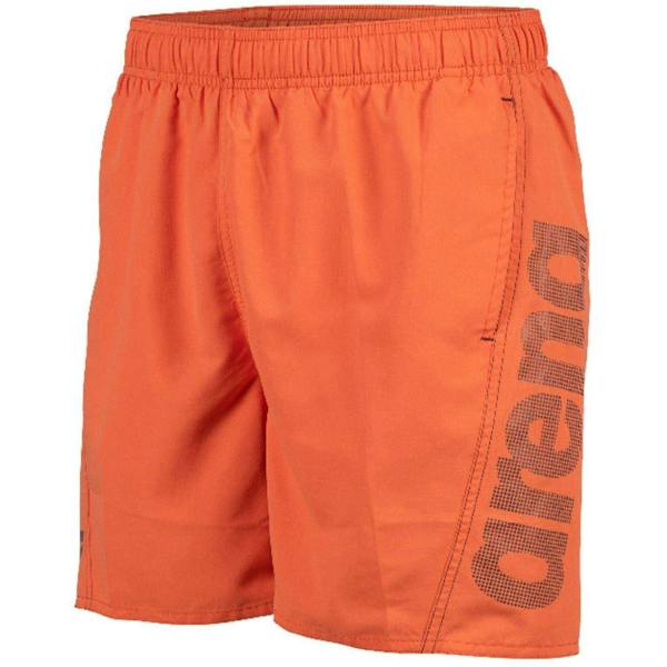 Arena Mens Board Shorts - Asphalt - 