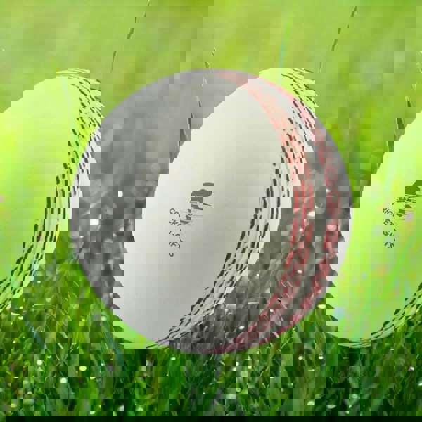 CRICKET-GIFTS - Large Cricket Ball Squeezy Stress Ball | Relieve Tension & Improve Focus