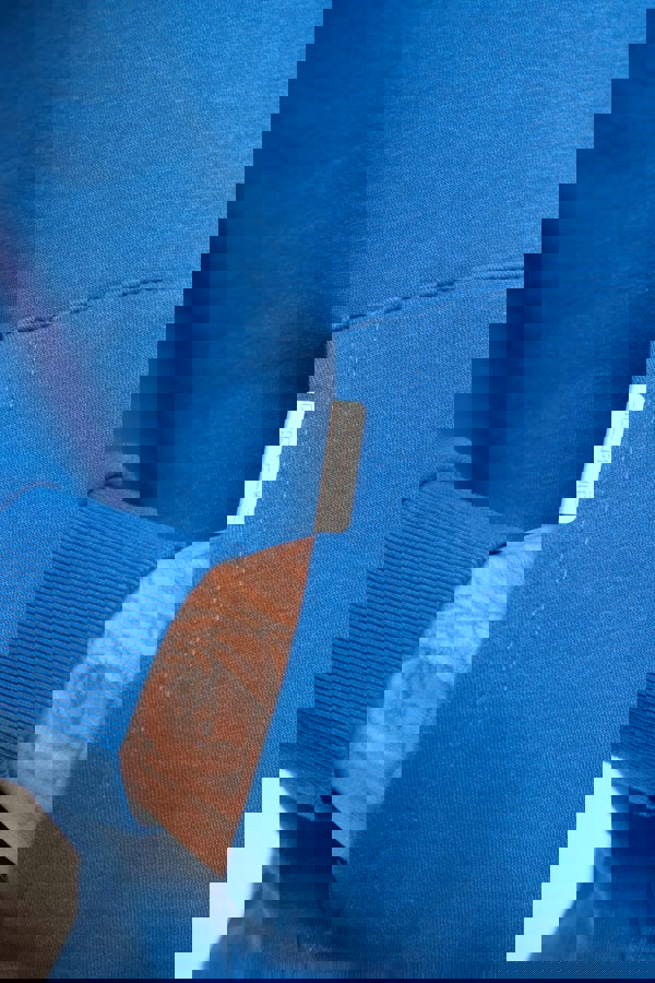 Discipline 365 BRANDED Blue Hoodie