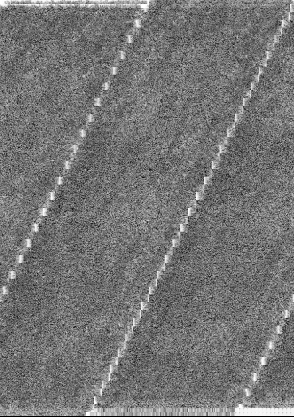 Chicago Grey Shaggy Rug | Stylish Comfort for Your Home