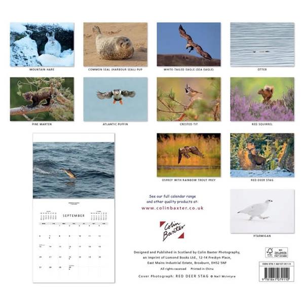 Colin Baxter, Scottish Wildlife Calendar 2027, Wall Calendars, Month To View, Animals, Gift