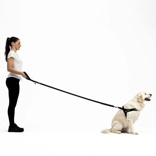 EzyDog Soft Trainer Dog Lead