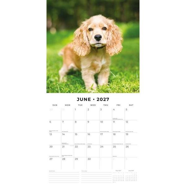 English Cocker Spaniels Calendar 2027, Wall Calendars, Month To View, Dogs, Gift