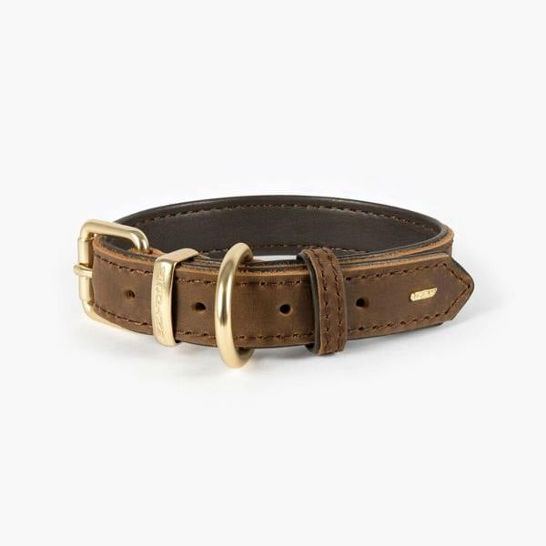 EzyDog Oxford Leather Classic Dog Collar in Brown