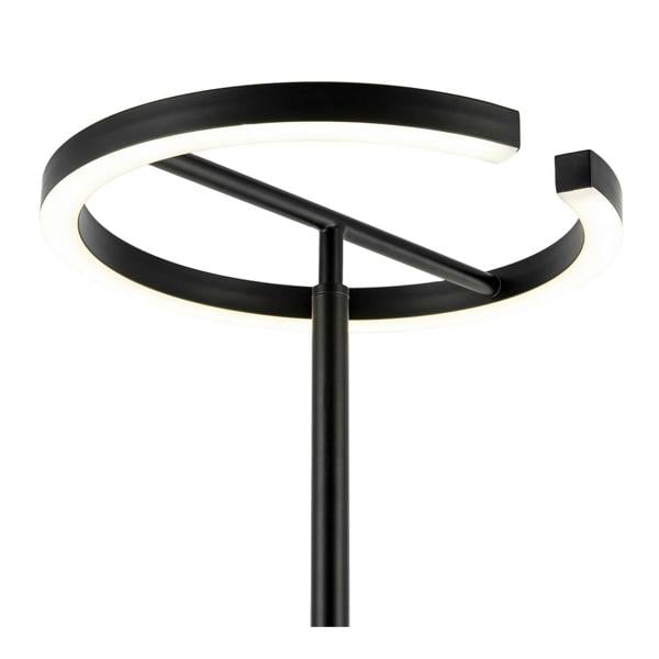 RGB and CCT Modern LED Halo Ring Black Floor Lamp with Remote Control Image 3