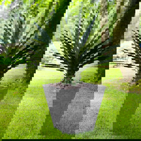 #color_grey