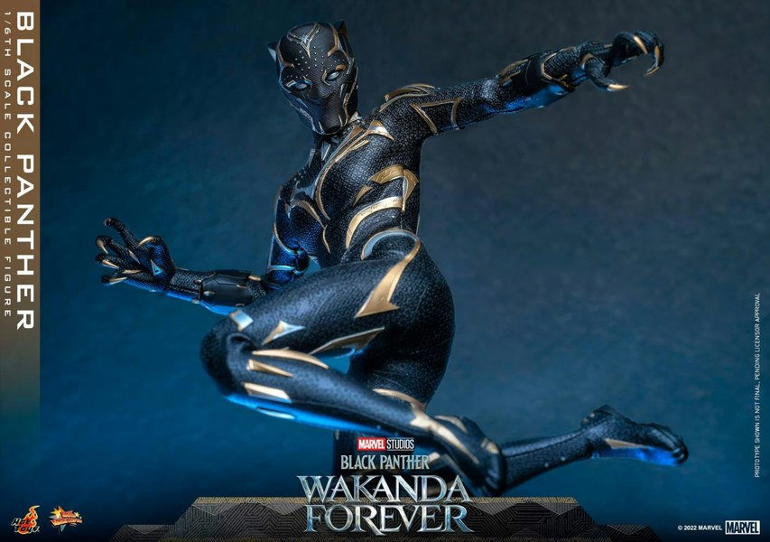 Hot Toys Black Panther Action Figure Black Panther: Wakanda Forever 1:6 Scale Hot Toys 911962