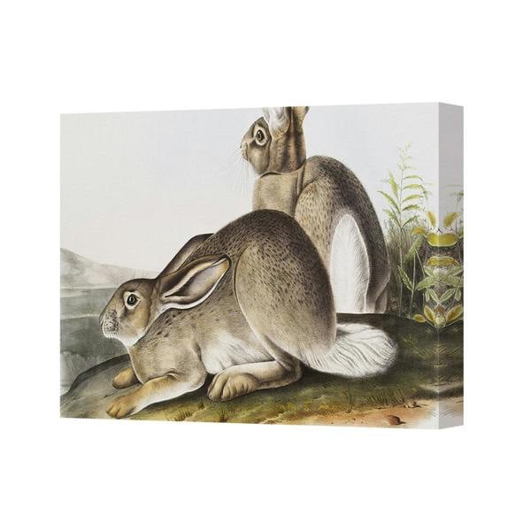Benjamin Tate Design Canvas Wall Art Two Rabbits In Nature Landscape Print 3095
