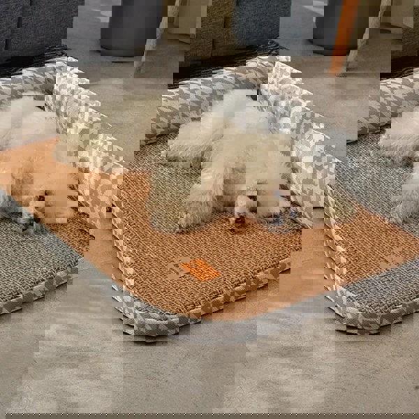 Tacchini Pet Bed, Dog Bed, Cat Bed-Weilai Concept-Weilai Concept