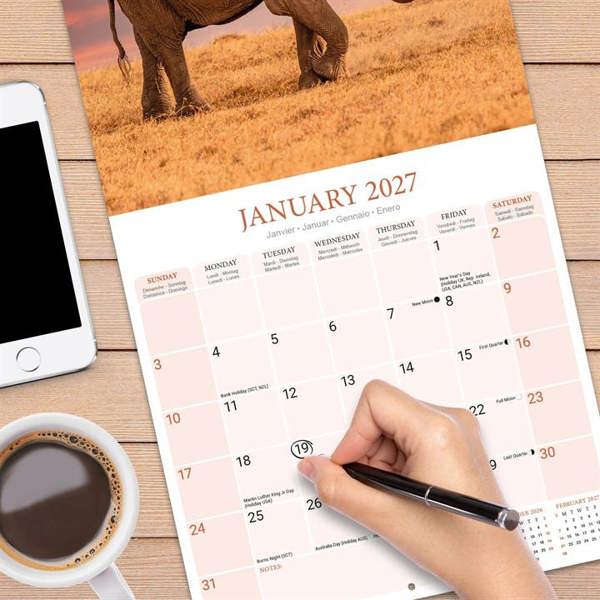 Elephants Calendar 2027, Wall Calendars, Month To View, Animals, Gift