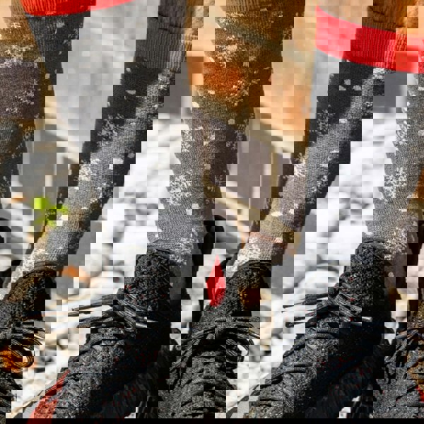 t4option1_1