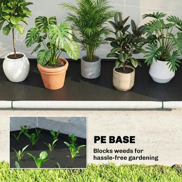 Foldable Small Greenhouse, Portable Green House Mini Greenhouse with Zipper Door, PE Base, 200 x 80 x 164 cm, Green
